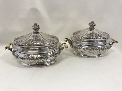 Pair
Silber Terrins